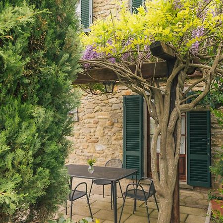Agriturismo Il Borgo 哥尔顿 外观 照片