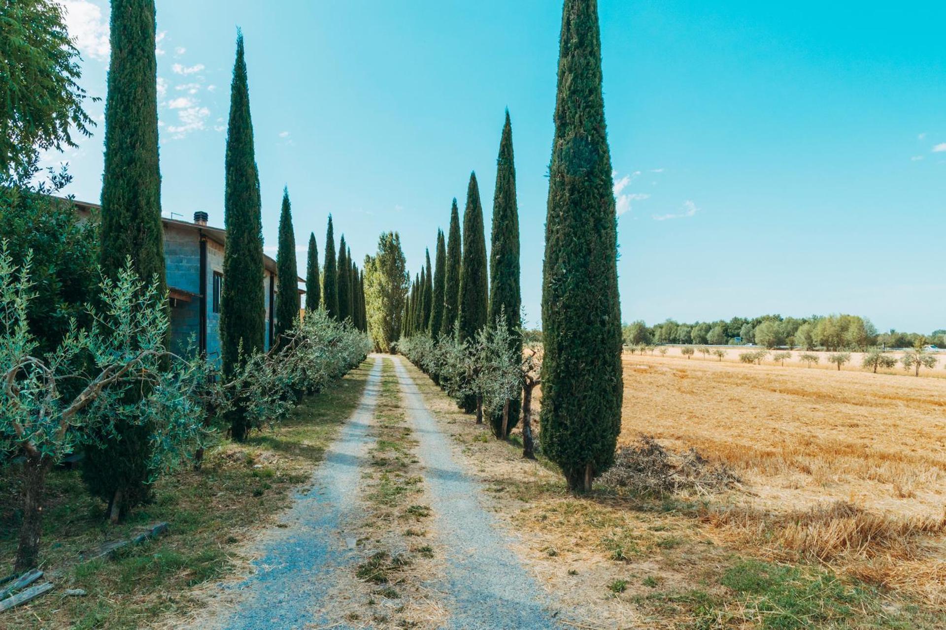 Agriturismo Il Borgo 哥尔顿 外观 照片