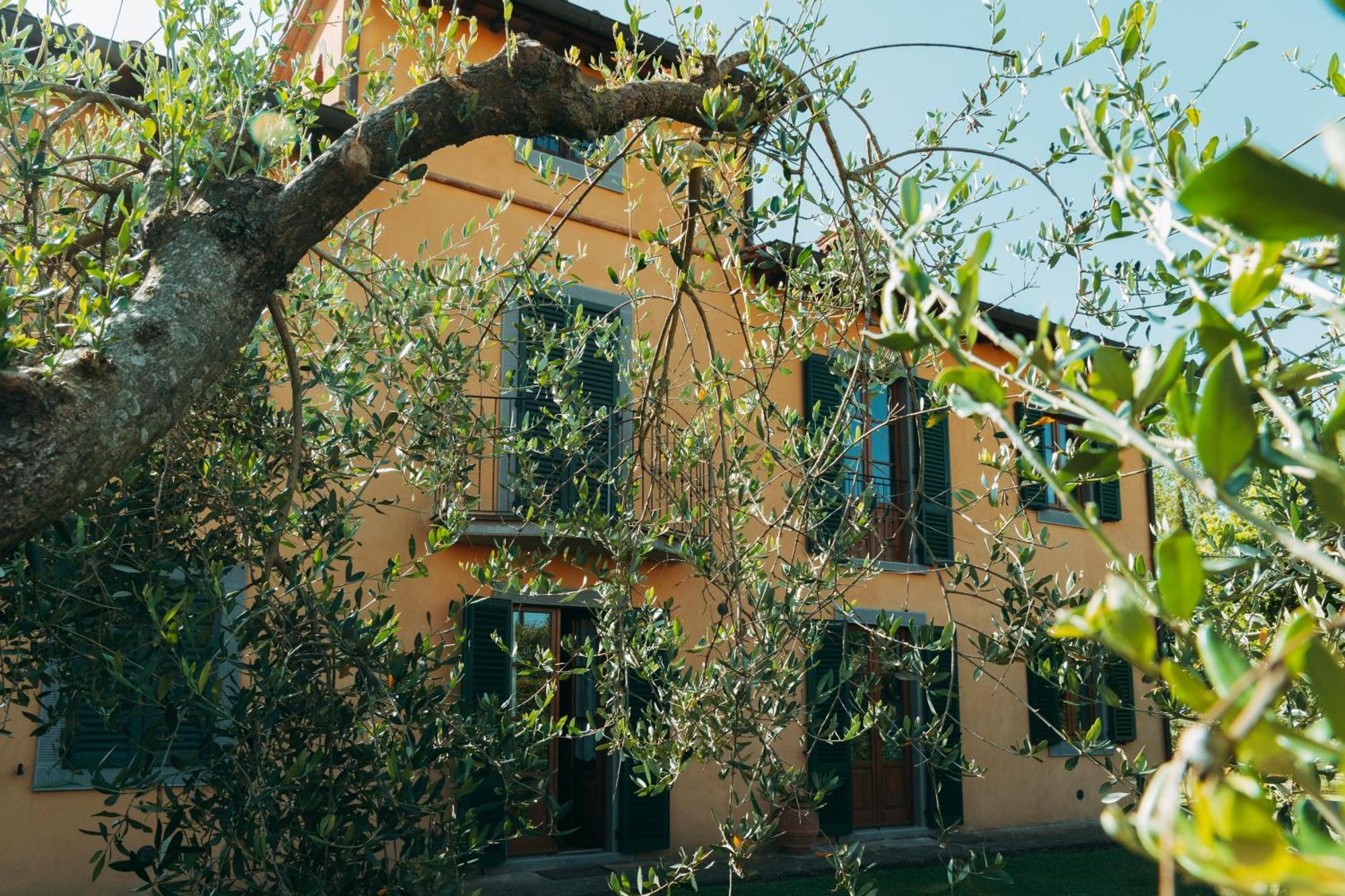 Agriturismo Il Borgo 哥尔顿 外观 照片