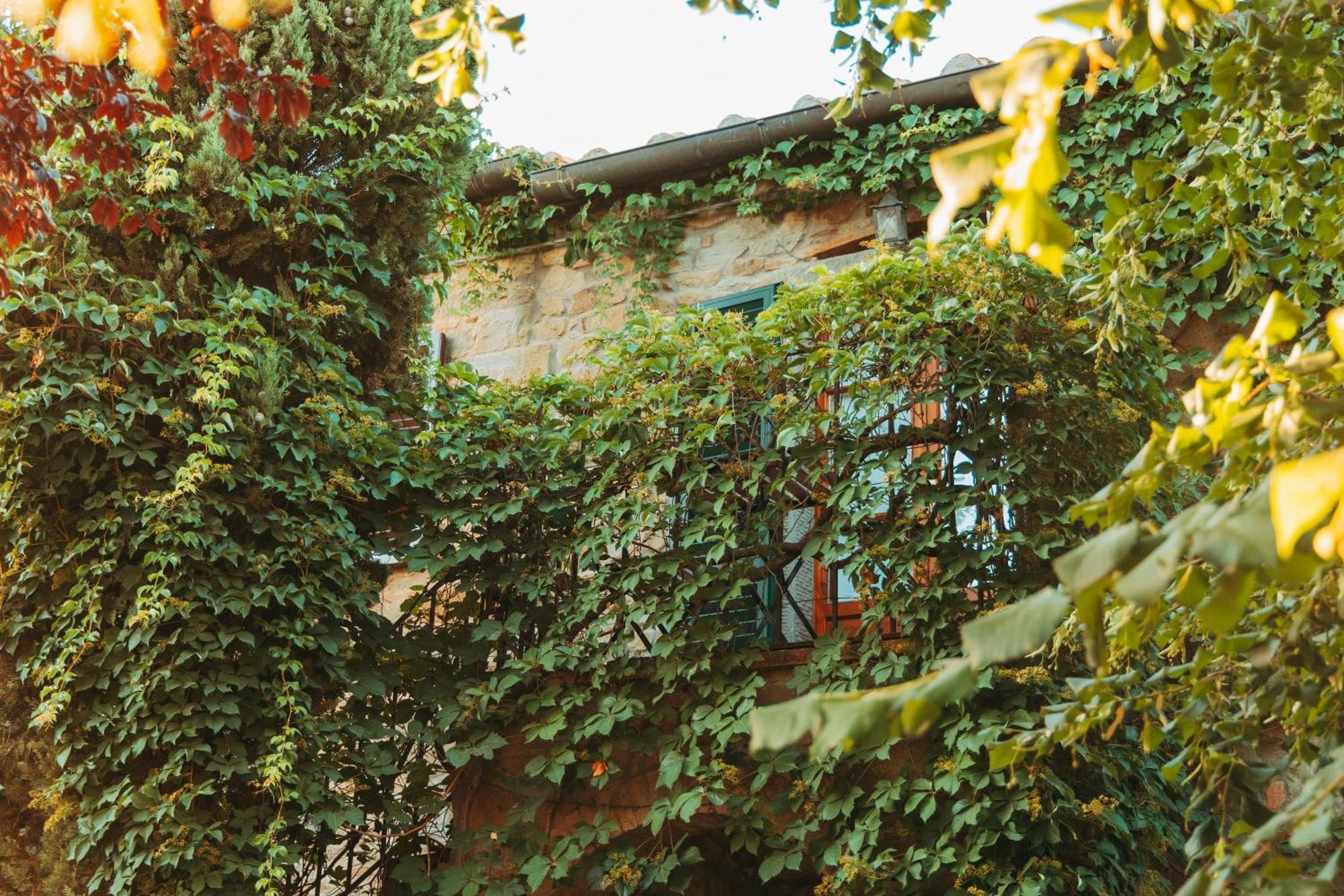 Agriturismo Il Borgo 哥尔顿 外观 照片